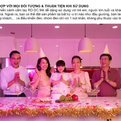 Bảng điều khiển cảnh RD-SC.M3 V2 (DC) 2