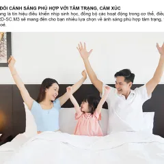 Bảng điều khiển cảnh RD-SC.M3 V2 (DC) 3