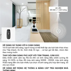 Bảng điều khiển cảnh RD-SC.M4 3