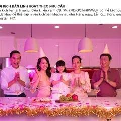 Bảng điều khiển cảnh RD-SC.CB 2