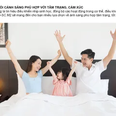 Bảng điều khiển cảnh (Pin)   RD-SC.M2 2