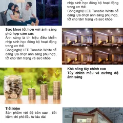Đèn LED âm trần Downlight thông minh xoay góc AT22.BLE 60/12W 6