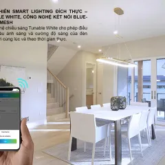Đèn LED âm trần Downlight thông minh 110/12W 2
