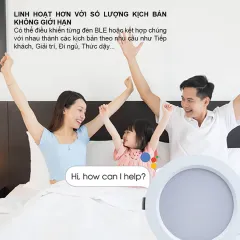 Đèn LED âm trần Downlight thông minh 110/12W 4