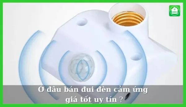 Ở Đâu Bán Đui Đèn Cảm Ứng Giá Tốt Uy Tín