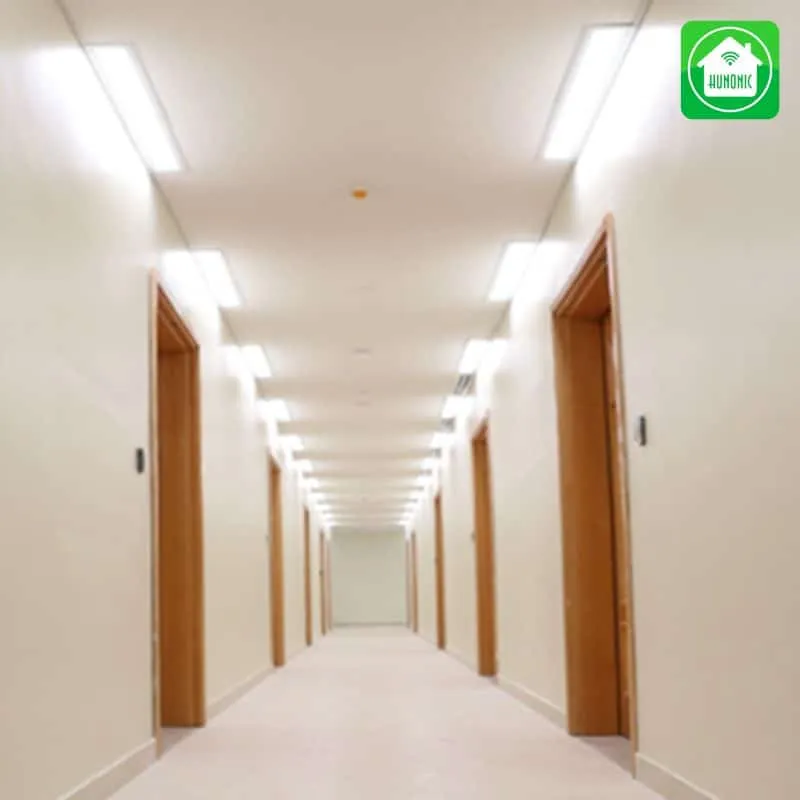 Đèn cảm ứng là giải pháp thông minh cho người tiêu dùng