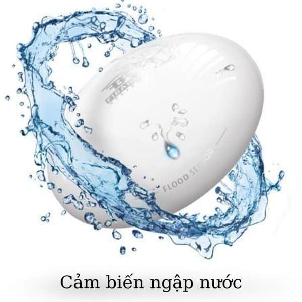 Cảm biến ngap nuoc