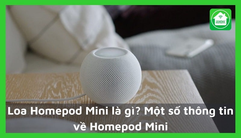 Loa Homepod Mini là gì? Một số thông tin về Homepod Mini