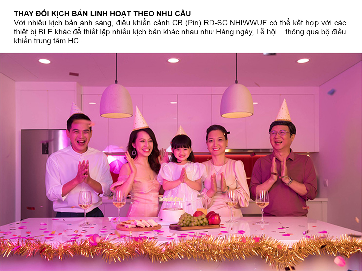 Bảng điều khiển cảnh RD-SC.CB - Ảnh 2 Bảng điều khiển cảnh RD-SC.CB - Ảnh 2