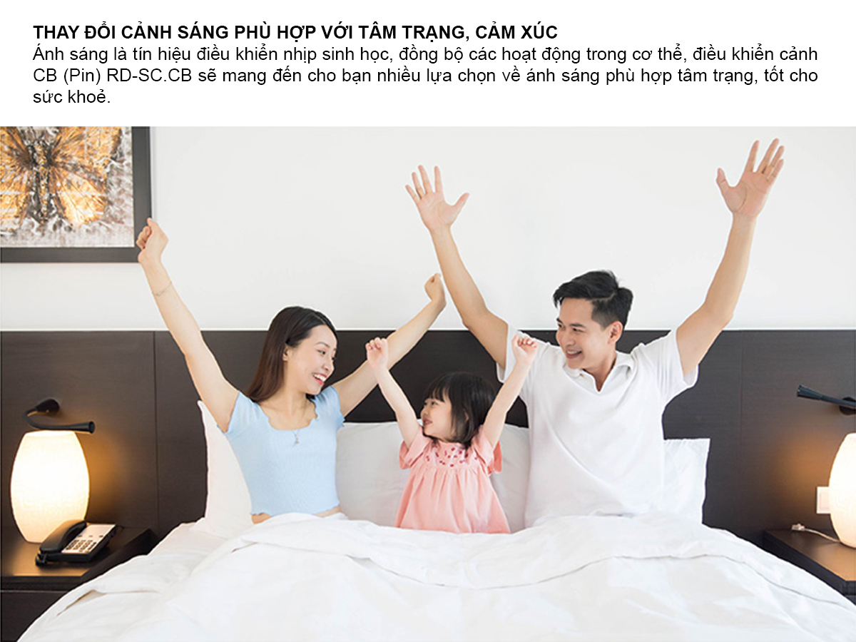 Bảng điều khiển cảnh RD-SC.CB - Ảnh 3 Bảng điều khiển cảnh RD-SC.CB - Ảnh 3