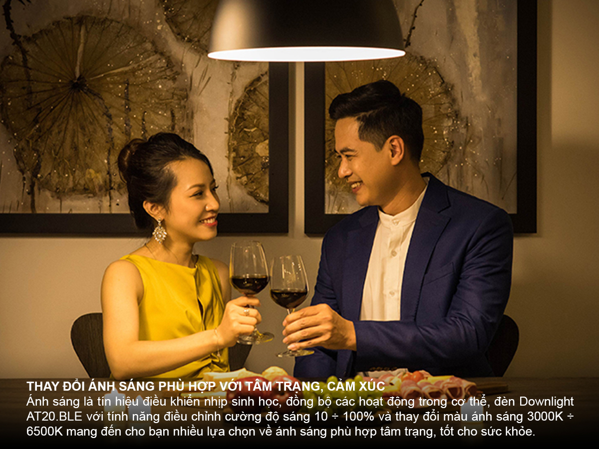 Đèn LED âm trần Downlight thông minh 110/12W - Ảnh 3 Đèn LED âm trần Downlight thông minh 110/12W - Ảnh 3