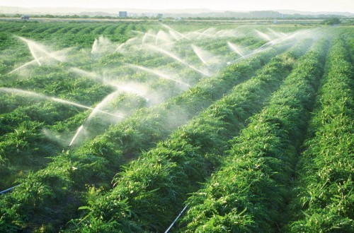 ổ cắm máy bơm ổ cắm máy bơm